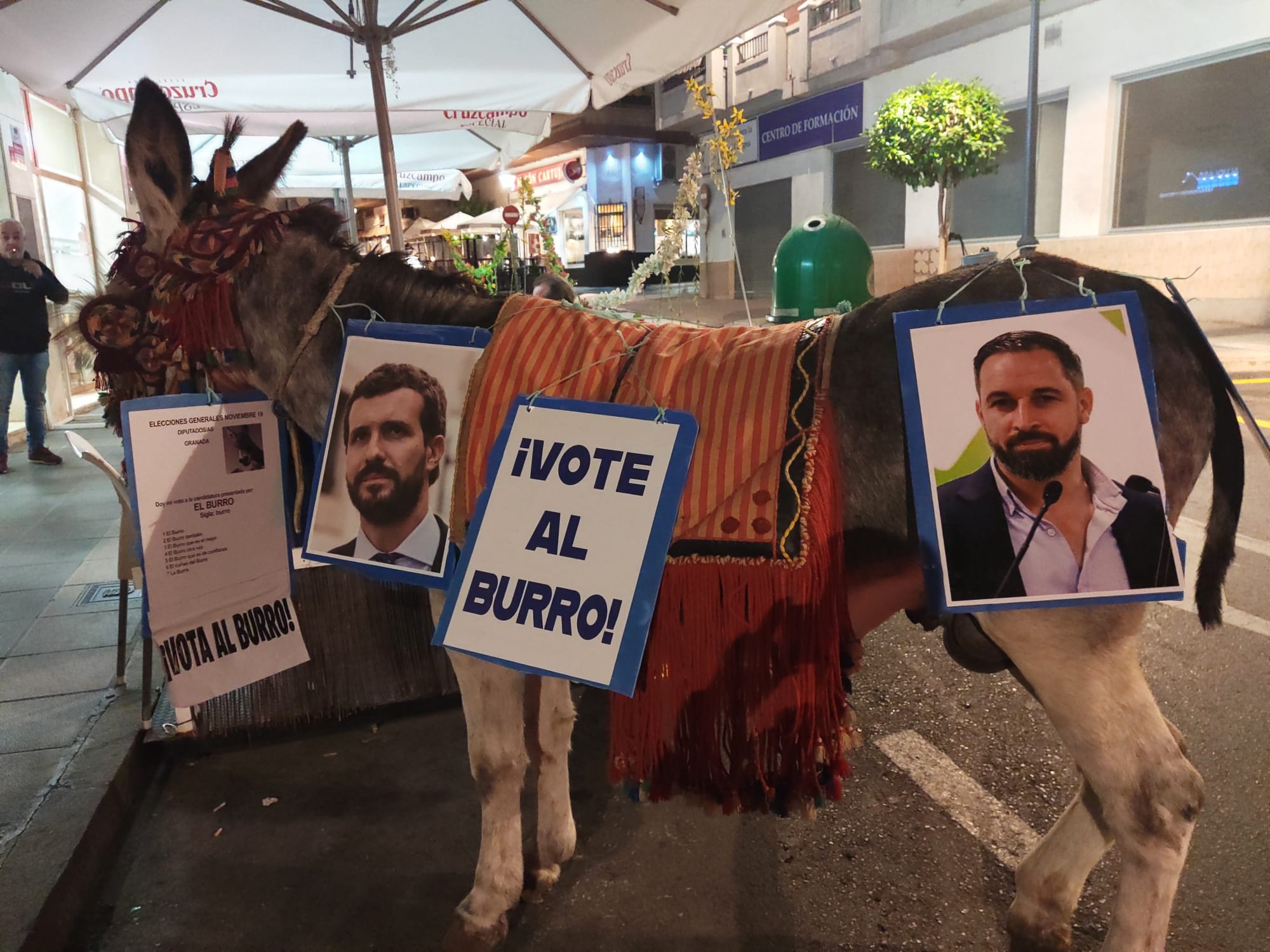 «Vote al burro»: La curiosa acción protesta que ha recorrido Motril antes del 10-N.