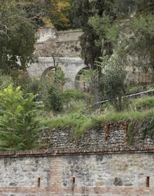 Imagen secundaria 2 - Estado actual de la zona.