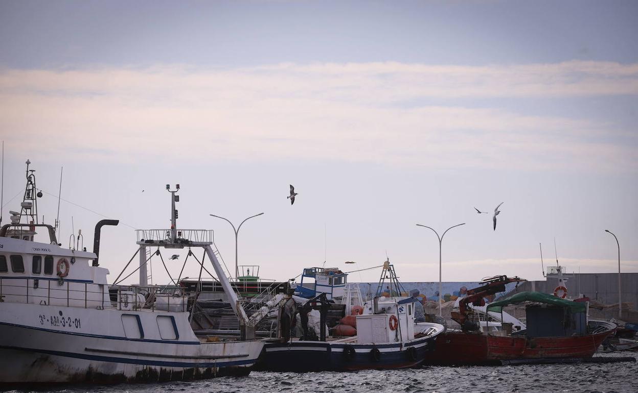 El Gobierno aplaza un año los cambios en la pesca de arrastre