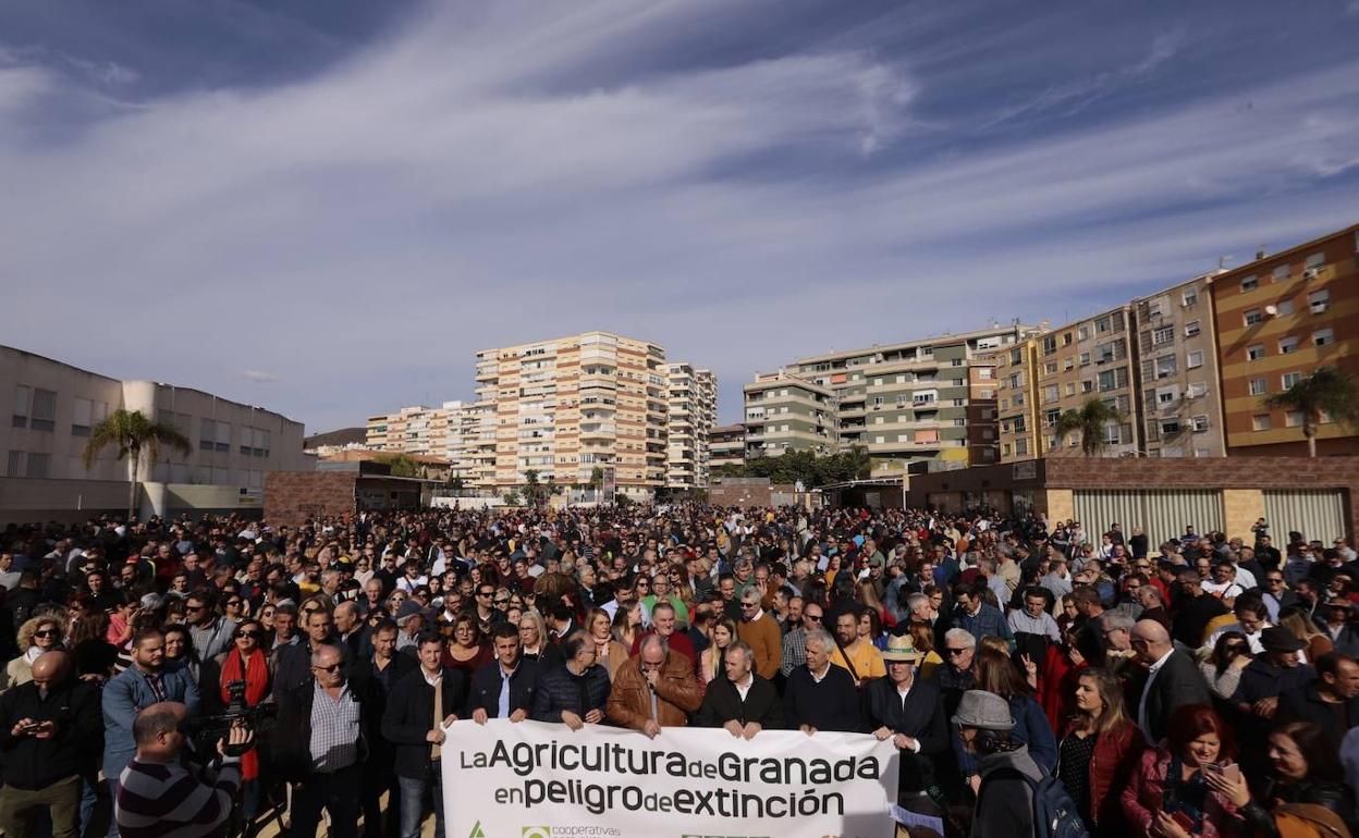 Cerca de 3.000 agricultores protestan en Motril por la crisis del sector hortofrutícola