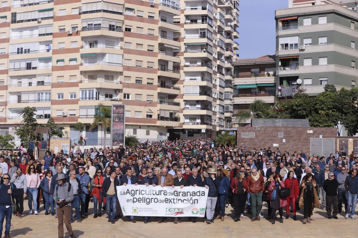 Miles de personas se han citado hoy en Motril para protestar por la situación del campo y pedir soluciones