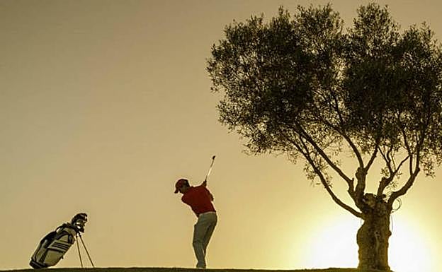 Una salida en Alborán Golf. 