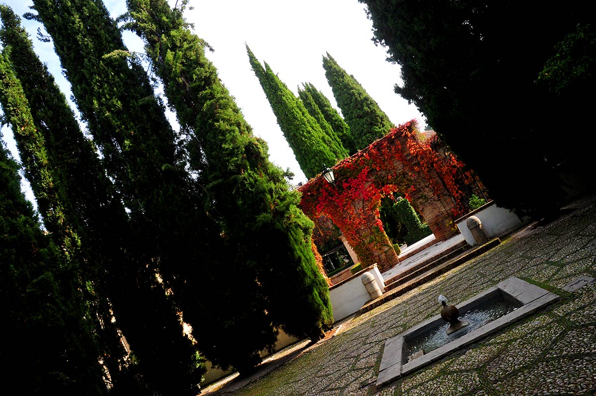 Las colinas del Albaicín, la Sabika y el cerro del Sol se visten con los colores del otoño