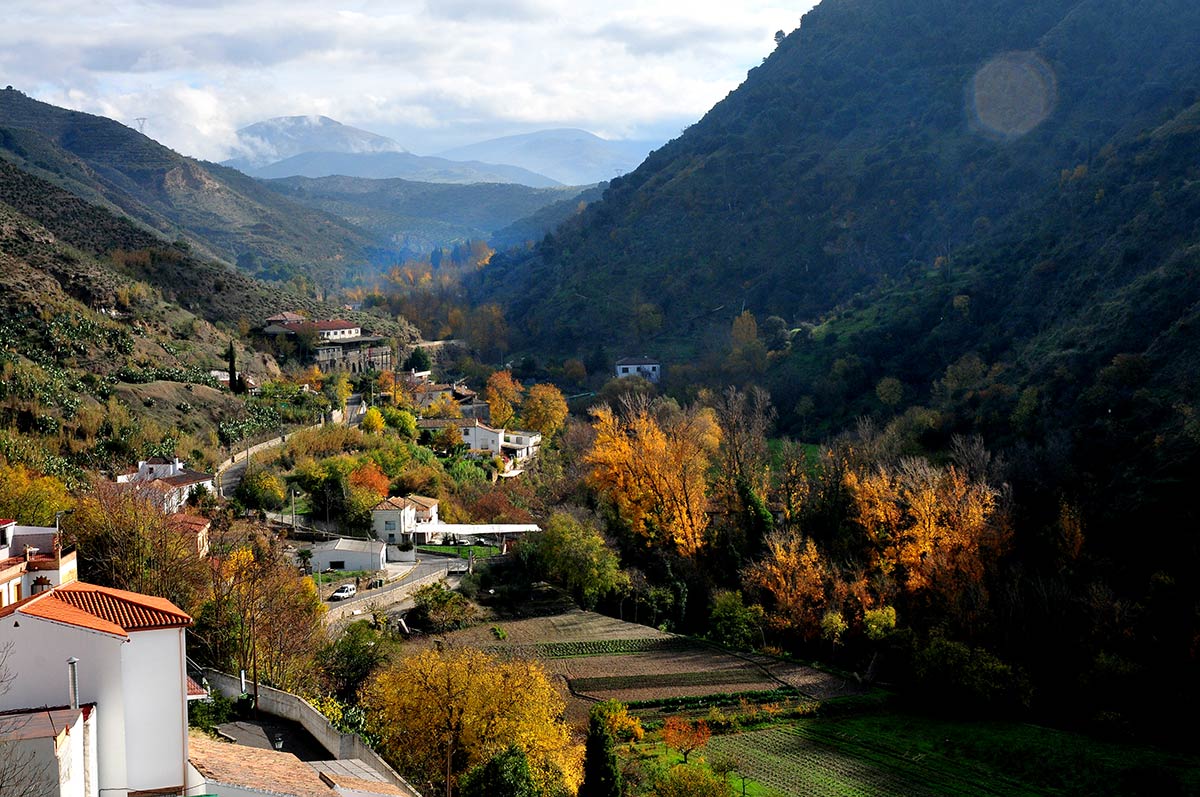 Las colinas del Albaicín, la Sabika y el cerro del Sol se visten con los colores del otoño