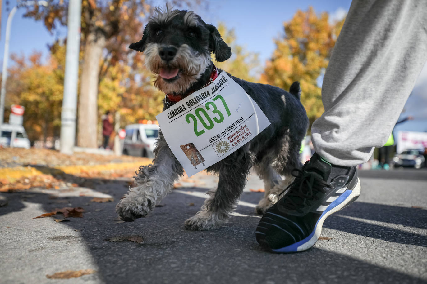 Muchos corredores han acudido disfrazados a una cita que cumple su octava edición