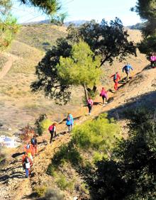 Imagen secundaria 2 - Vista de la Alhambra desde el acceso al mirador; Cernícalo, Falco tinnunculus; senderistas ascienden al mirador 