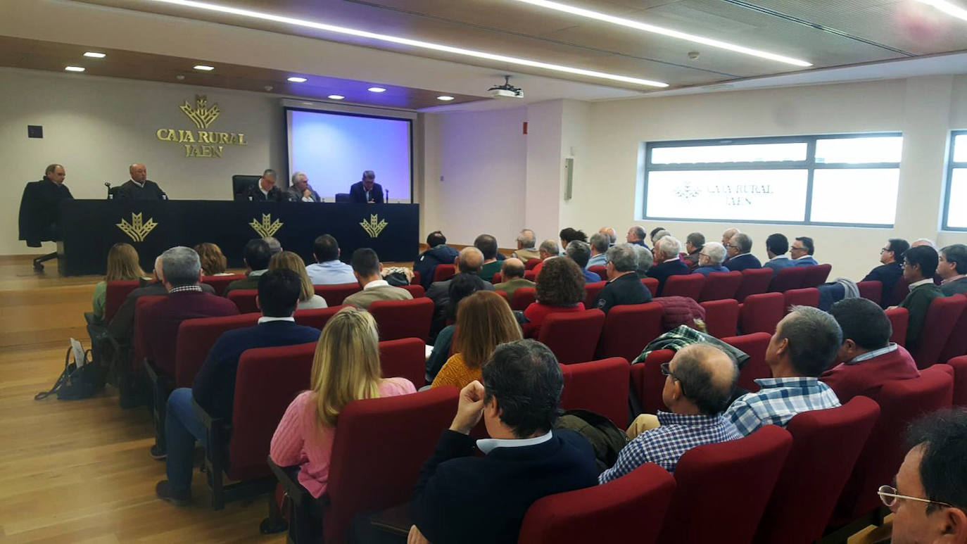 Consejo sectorial de aceite de oliva celebrado este jueves en Mengíbar. 