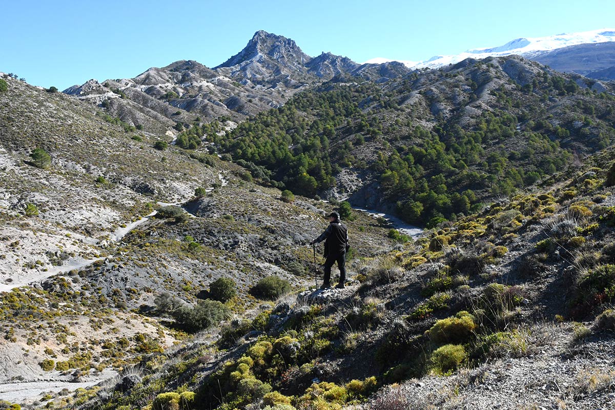 La imagen del Trevenque (2.029 m.) domina el paisaje 