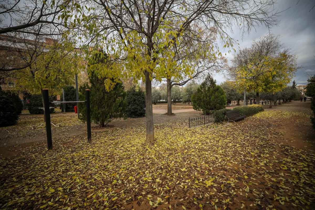 La capital nazarí ofrece paisajes bellos y penetrantes en la estación otoñal | La Alhambra, el centro... todos los rincones ofrecen hermosas estampas