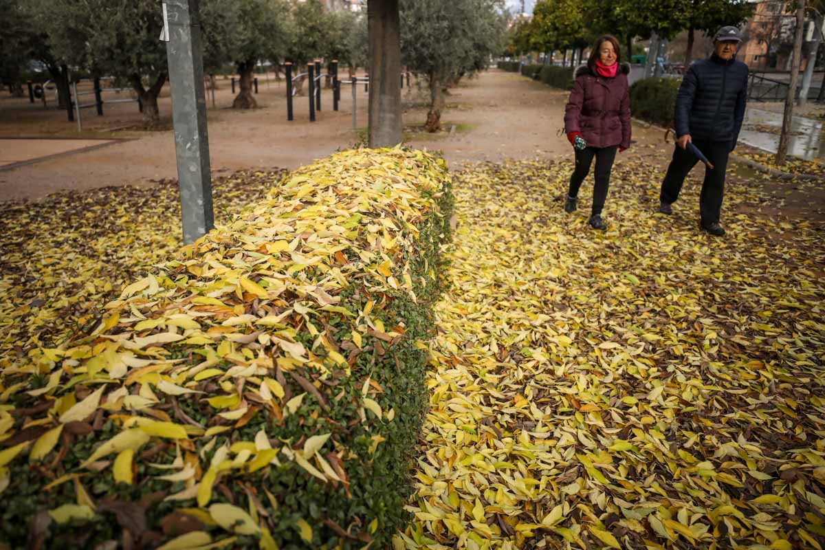 La capital nazarí ofrece paisajes bellos y penetrantes en la estación otoñal | La Alhambra, el centro... todos los rincones ofrecen hermosas estampas