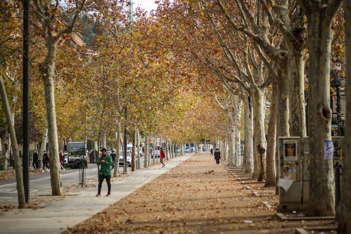 La capital nazarí ofrece paisajes bellos y penetrantes en la estación otoñal | La Alhambra, el centro... todos los rincones ofrecen hermosas estampas