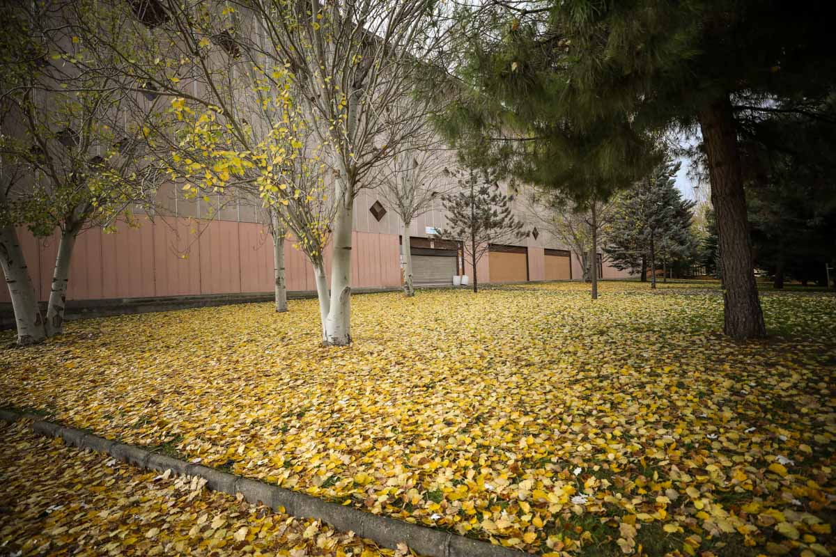La capital nazarí ofrece paisajes bellos y penetrantes en la estación otoñal | La Alhambra, el centro... todos los rincones ofrecen hermosas estampas