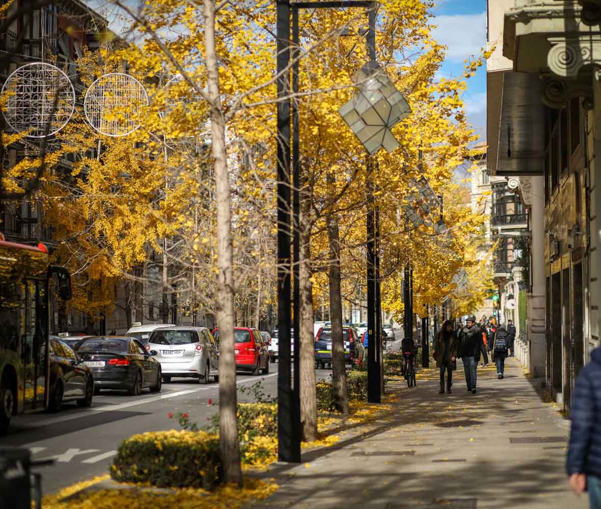 La capital nazarí ofrece paisajes bellos y penetrantes en la estación otoñal | La Alhambra, el centro... todos los rincones ofrecen hermosas estampas