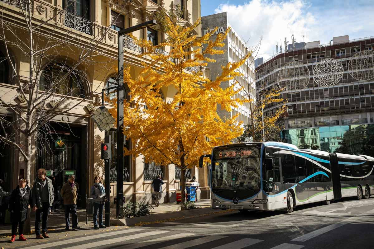 La capital nazarí ofrece paisajes bellos y penetrantes en la estación otoñal | La Alhambra, el centro... todos los rincones ofrecen hermosas estampas