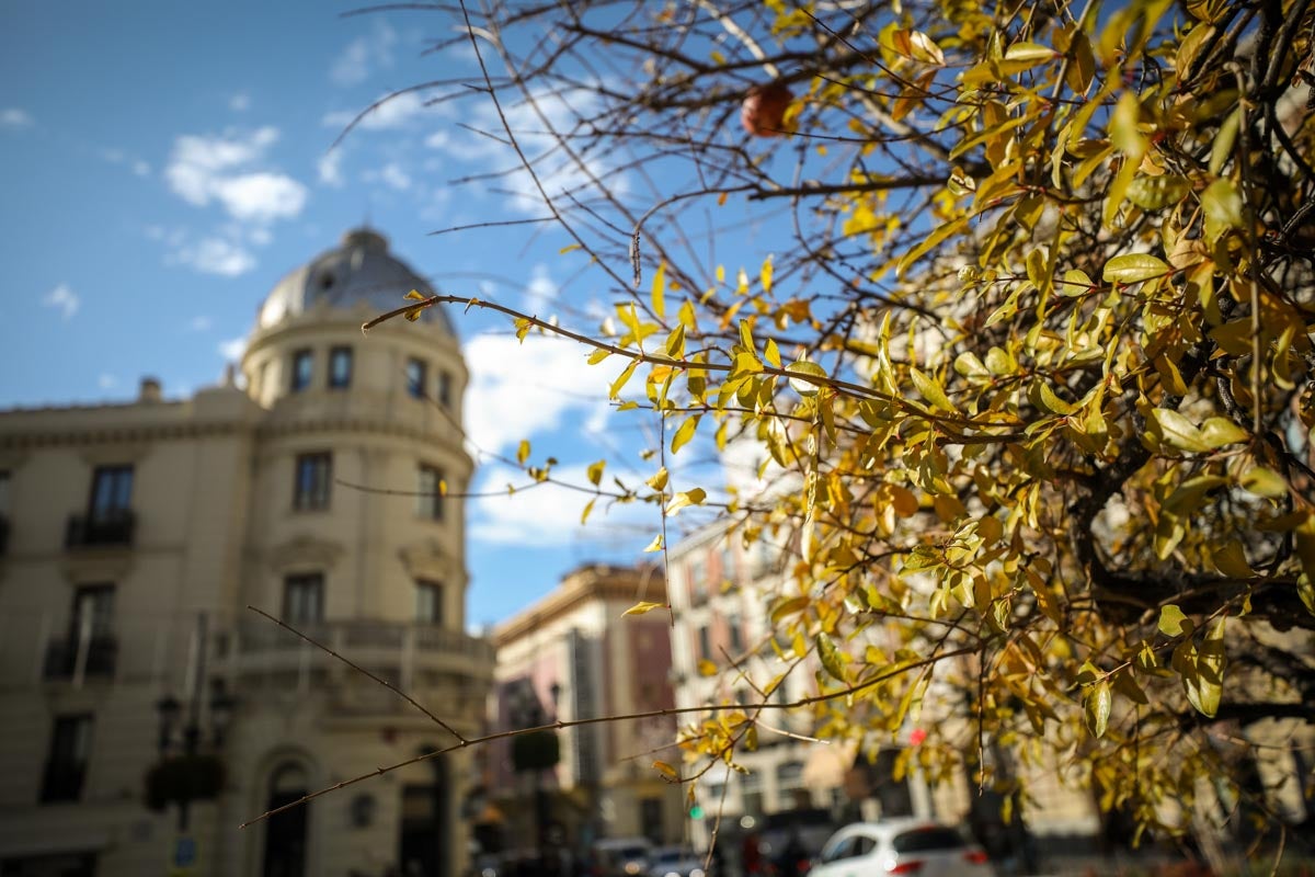 La capital nazarí ofrece paisajes bellos y penetrantes en la estación otoñal | La Alhambra, el centro... todos los rincones ofrecen hermosas estampas