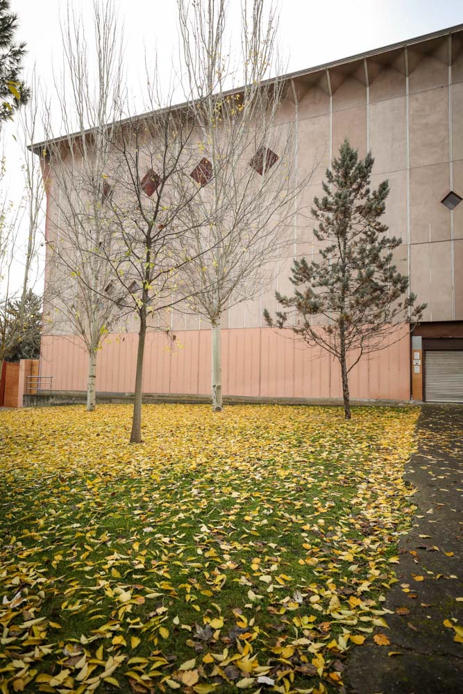 La capital nazarí ofrece paisajes bellos y penetrantes en la estación otoñal | La Alhambra, el centro... todos los rincones ofrecen hermosas estampas
