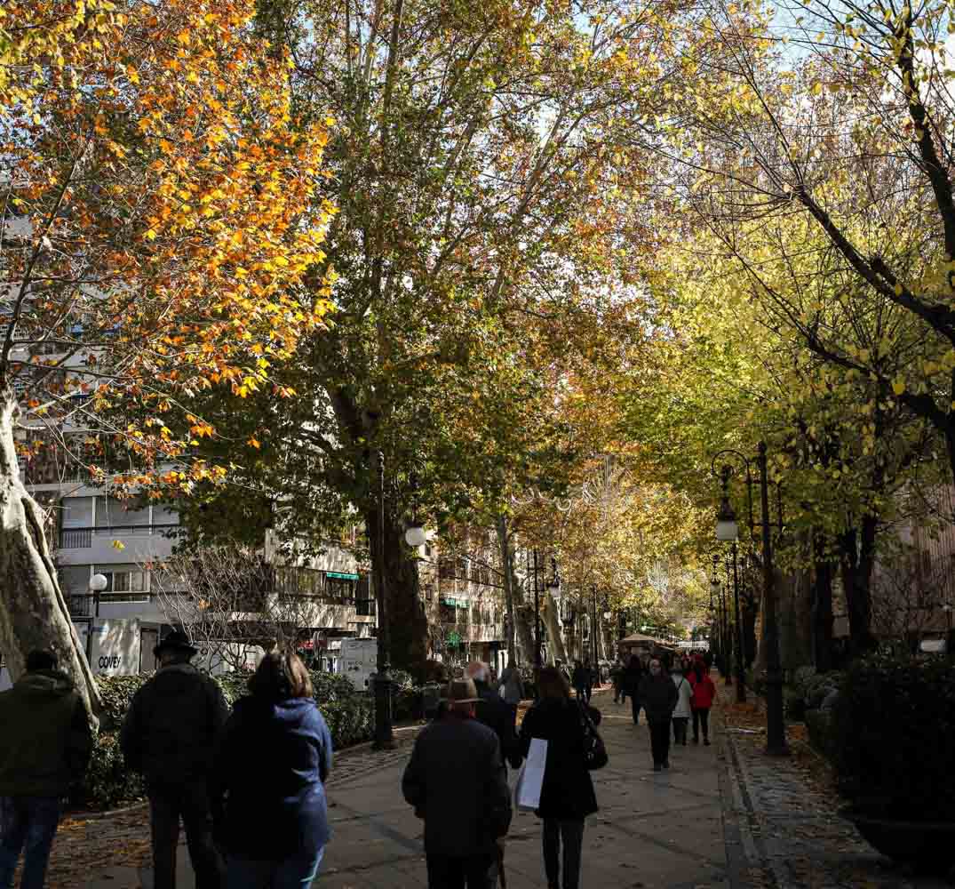 La capital nazarí ofrece paisajes bellos y penetrantes en la estación otoñal | La Alhambra, el centro... todos los rincones ofrecen hermosas estampas
