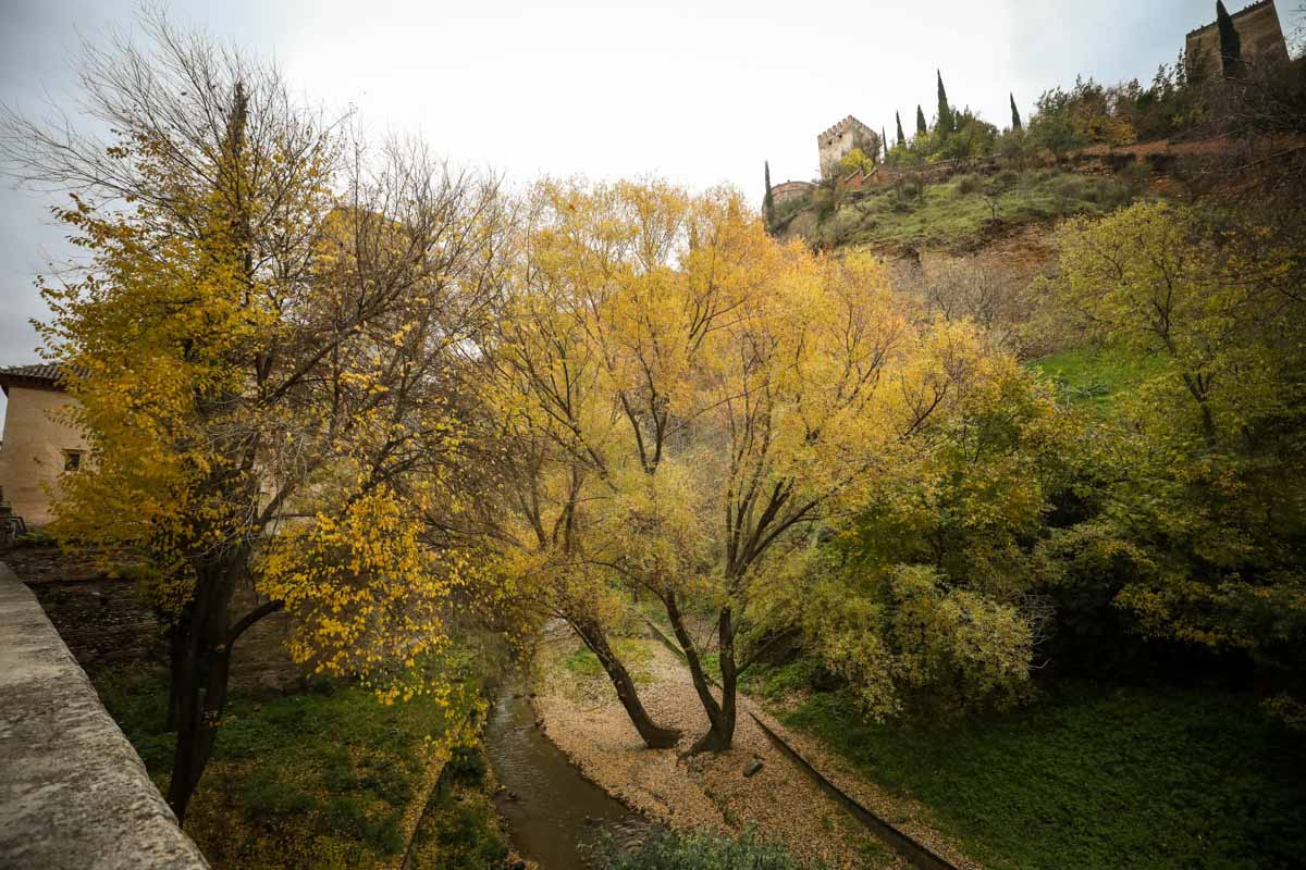 La capital nazarí ofrece paisajes bellos y penetrantes en la estación otoñal | La Alhambra, el centro... todos los rincones ofrecen hermosas estampas