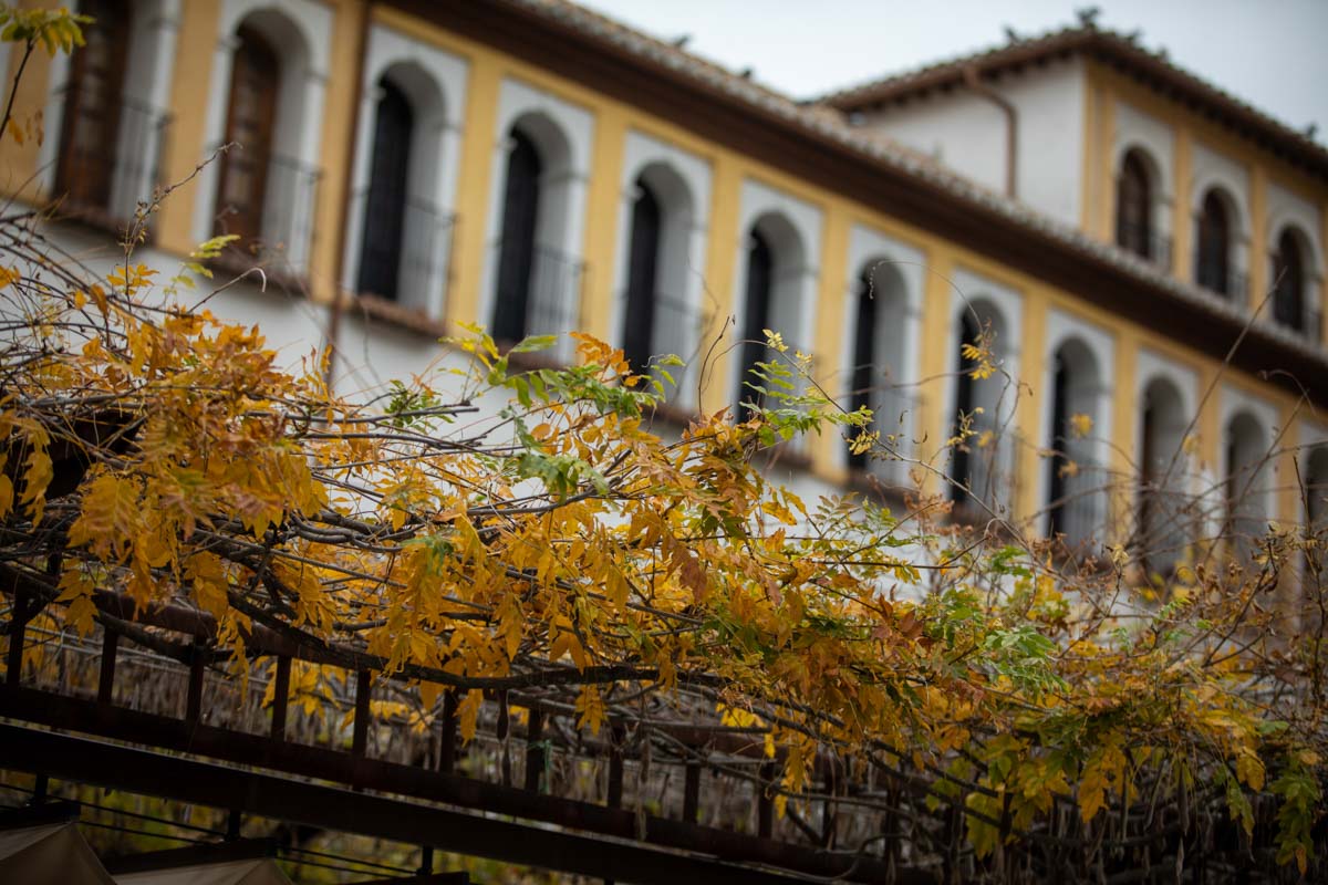 La capital nazarí ofrece paisajes bellos y penetrantes en la estación otoñal | La Alhambra, el centro... todos los rincones ofrecen hermosas estampas