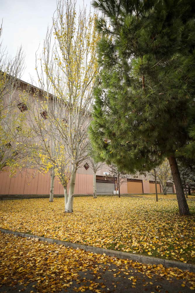 La capital nazarí ofrece paisajes bellos y penetrantes en la estación otoñal | La Alhambra, el centro... todos los rincones ofrecen hermosas estampas