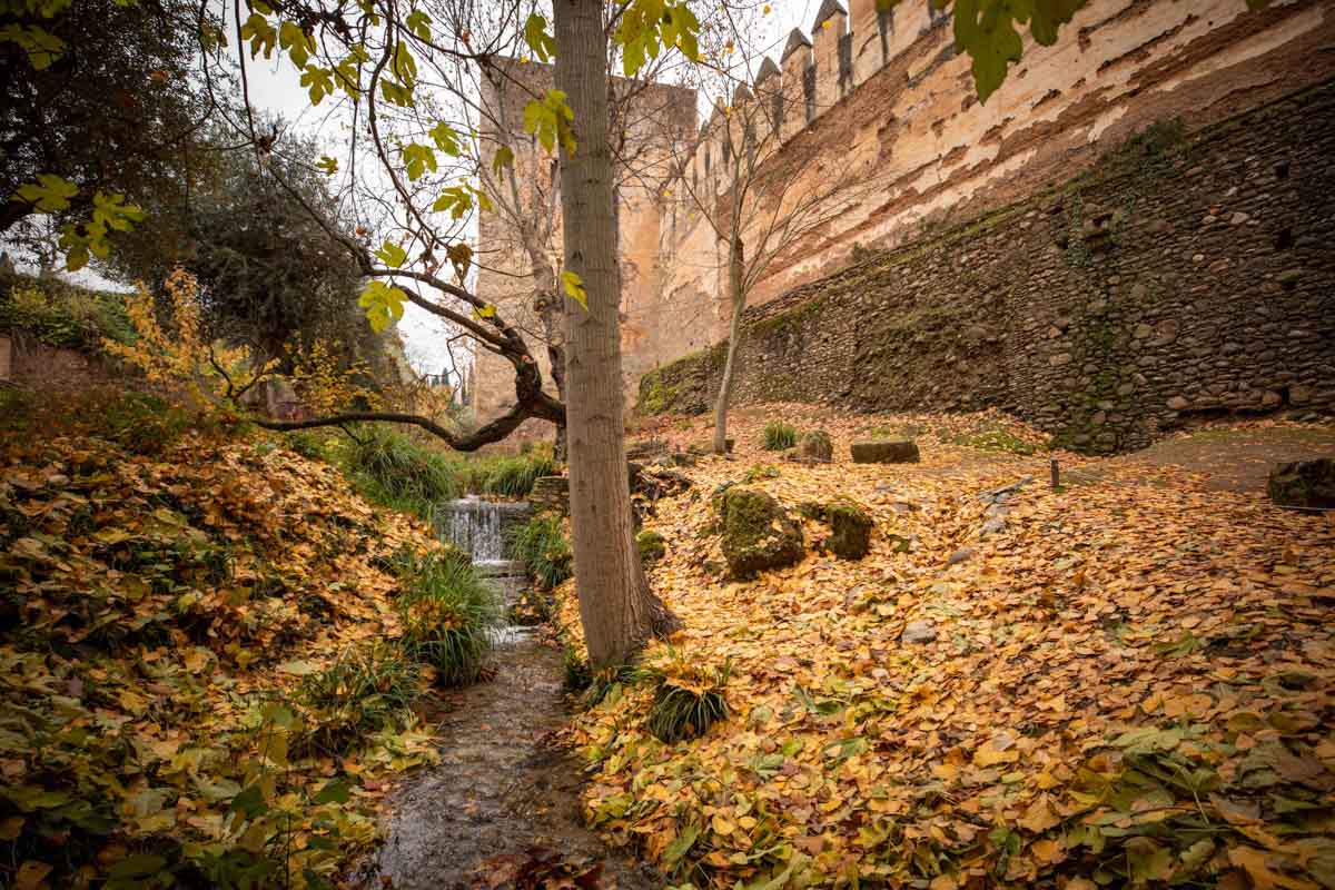 La capital nazarí ofrece paisajes bellos y penetrantes en la estación otoñal | La Alhambra, el centro... todos los rincones ofrecen hermosas estampas