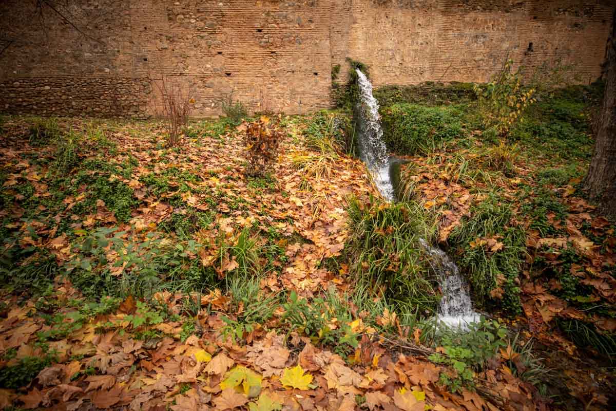 La capital nazarí ofrece paisajes bellos y penetrantes en la estación otoñal | La Alhambra, el centro... todos los rincones ofrecen hermosas estampas