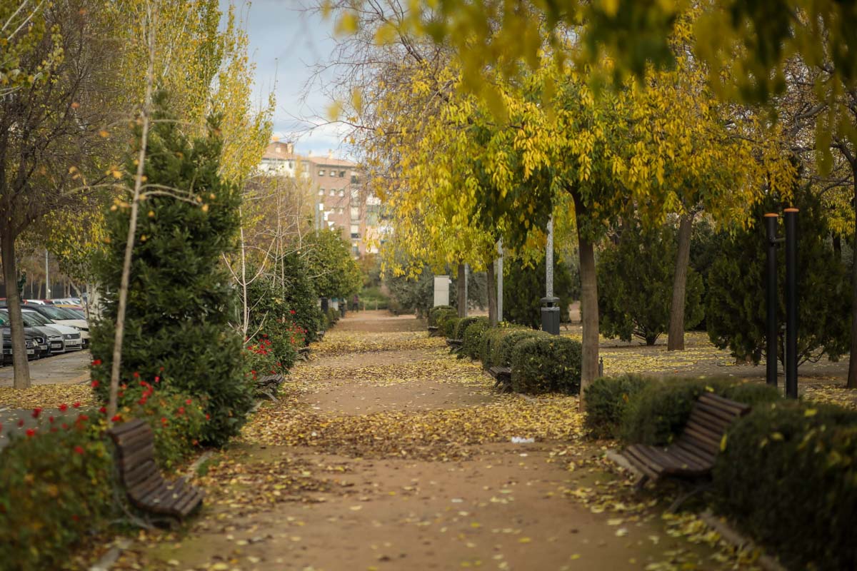 La capital nazarí ofrece paisajes bellos y penetrantes en la estación otoñal | La Alhambra, el centro... todos los rincones ofrecen hermosas estampas