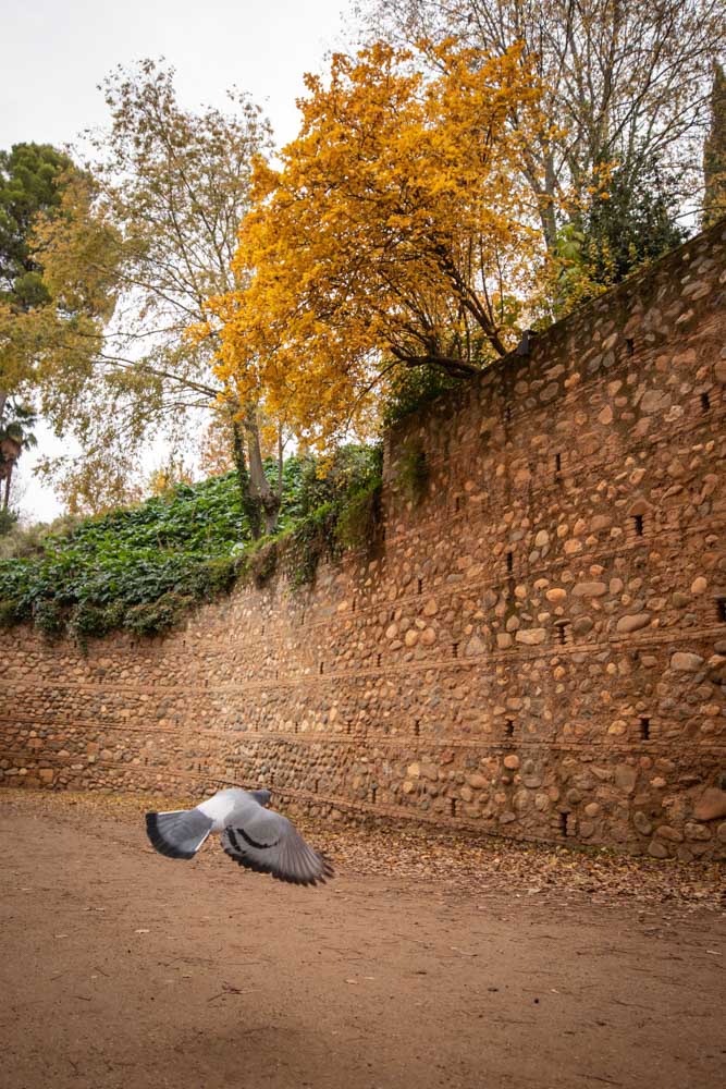La capital nazarí ofrece paisajes bellos y penetrantes en la estación otoñal | La Alhambra, el centro... todos los rincones ofrecen hermosas estampas