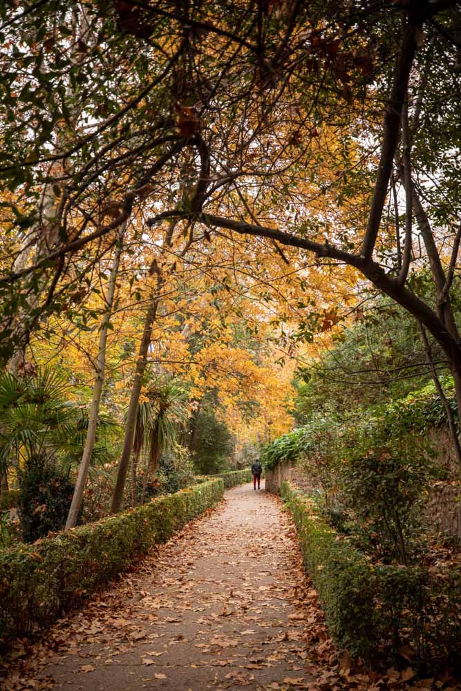 La capital nazarí ofrece paisajes bellos y penetrantes en la estación otoñal | La Alhambra, el centro... todos los rincones ofrecen hermosas estampas