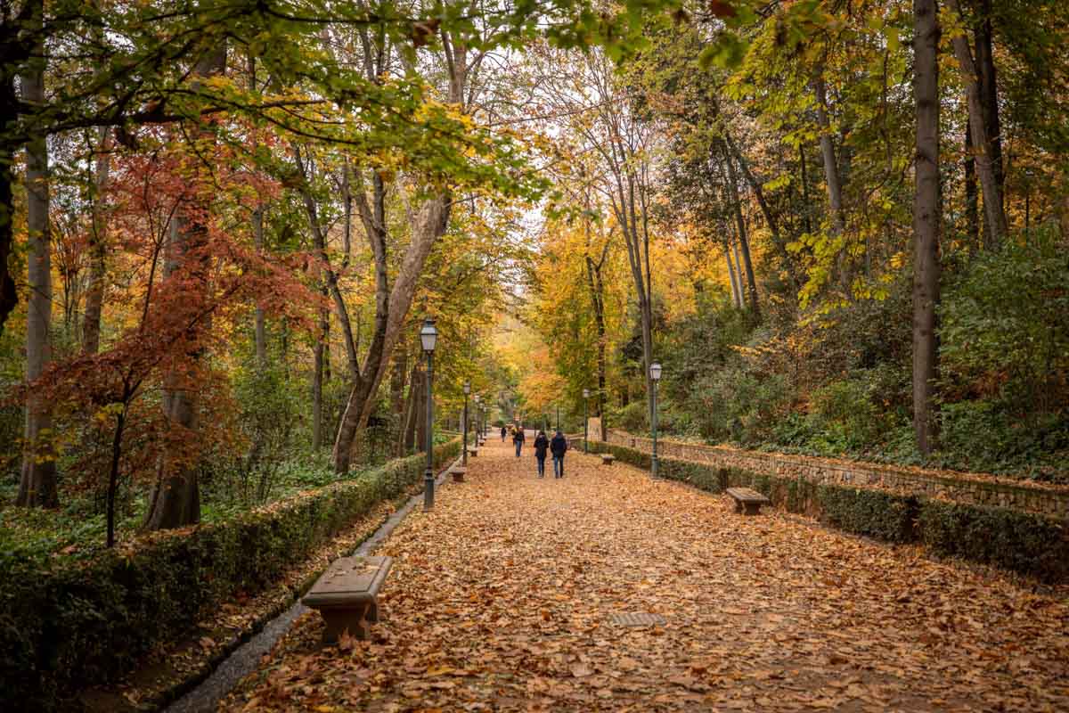 La capital nazarí ofrece paisajes bellos y penetrantes en la estación otoñal | La Alhambra, el centro... todos los rincones ofrecen hermosas estampas