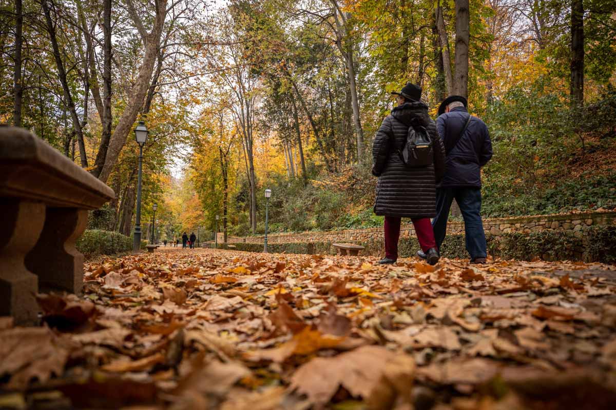 La capital nazarí ofrece paisajes bellos y penetrantes en la estación otoñal | La Alhambra, el centro... todos los rincones ofrecen hermosas estampas