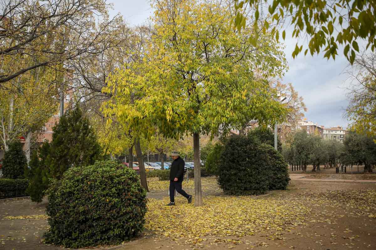 La capital nazarí ofrece paisajes bellos y penetrantes en la estación otoñal | La Alhambra, el centro... todos los rincones ofrecen hermosas estampas