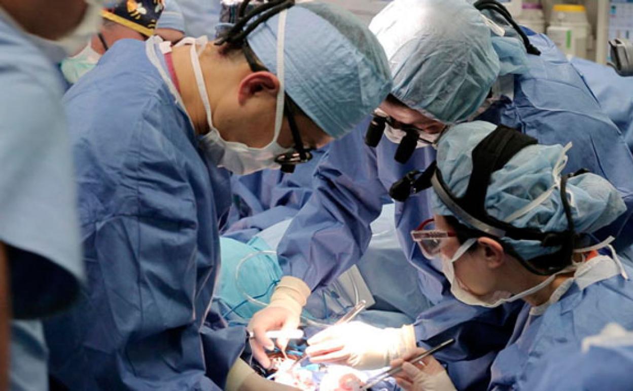 Un equipo médico realiza un trasplante de órganos. 