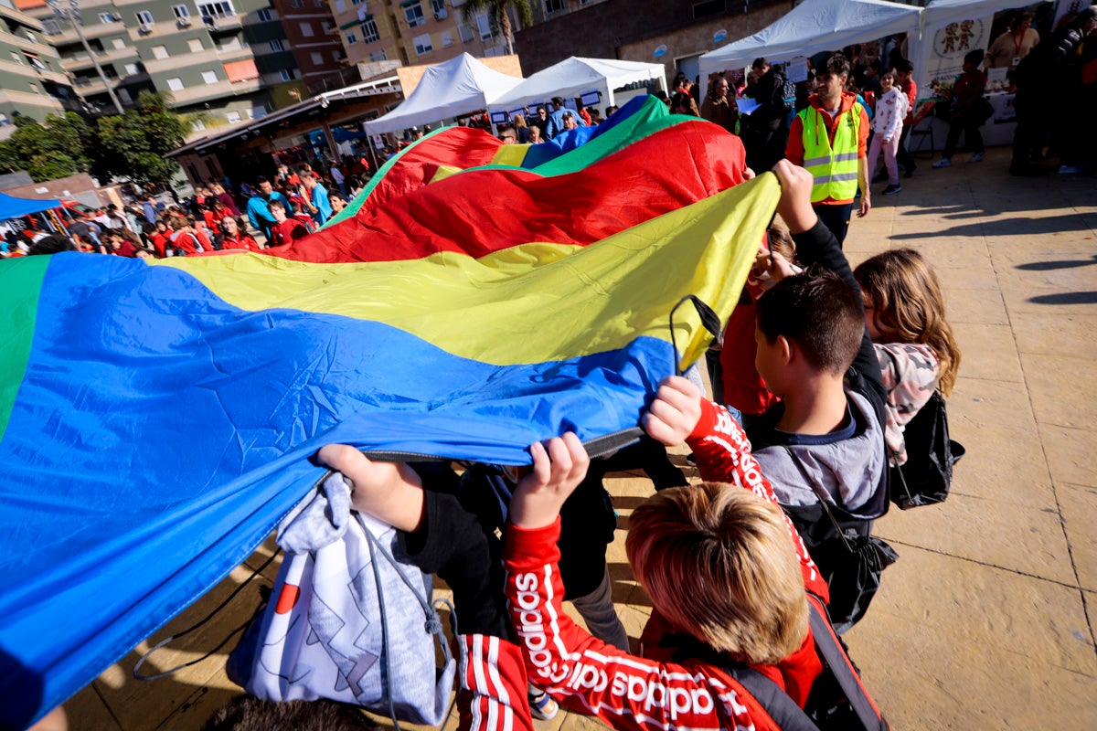 Esta nueva edición refuerza el carácter informativo al tiempo que destaca «la contribución fundamental a la sociedad» de las asociaciones locales