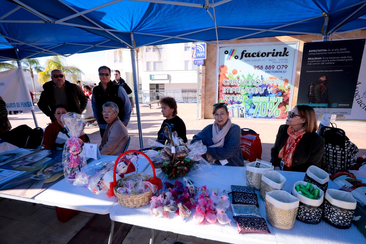 Esta nueva edición refuerza el carácter informativo al tiempo que destaca «la contribución fundamental a la sociedad» de las asociaciones locales