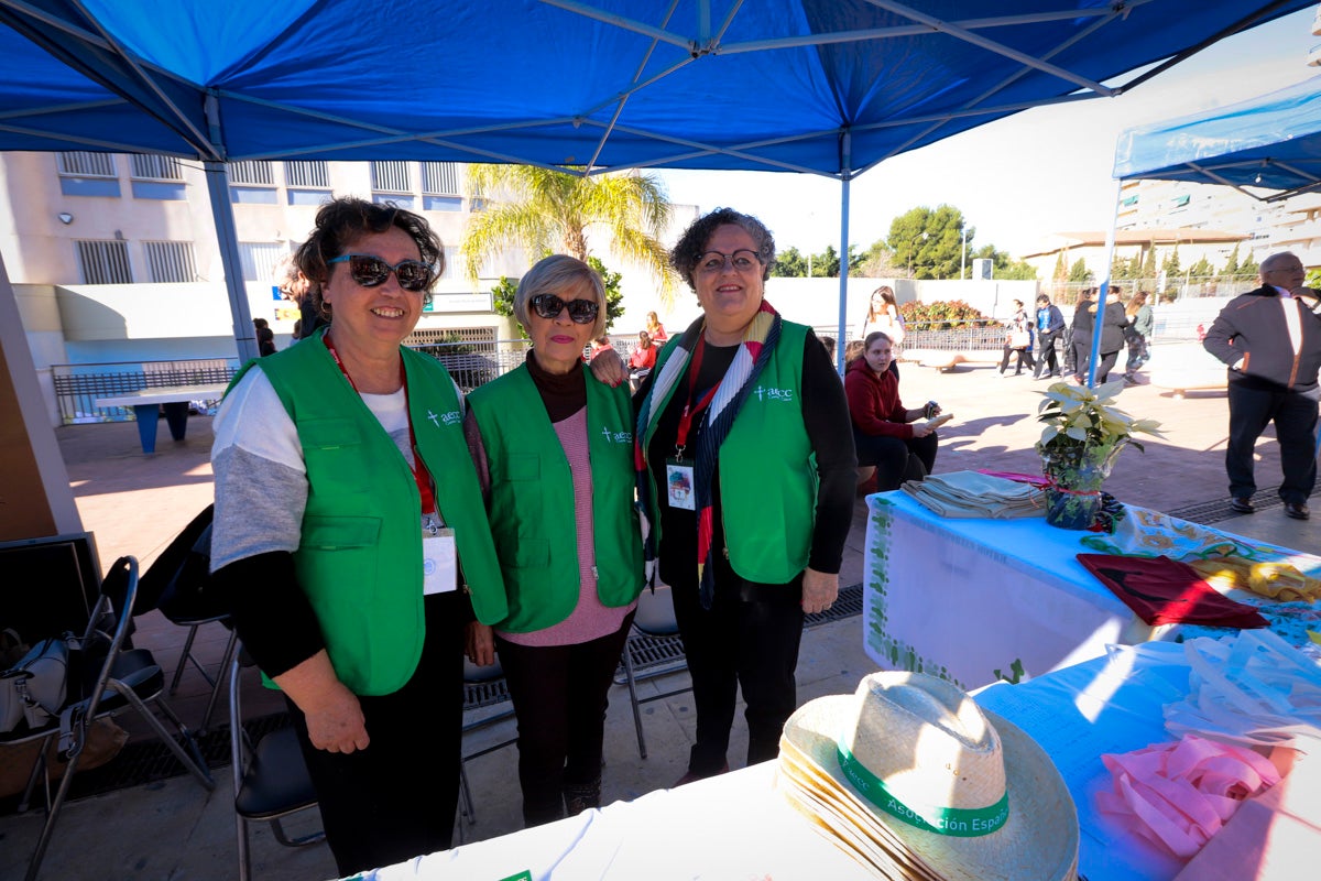 Esta nueva edición refuerza el carácter informativo al tiempo que destaca «la contribución fundamental a la sociedad» de las asociaciones locales