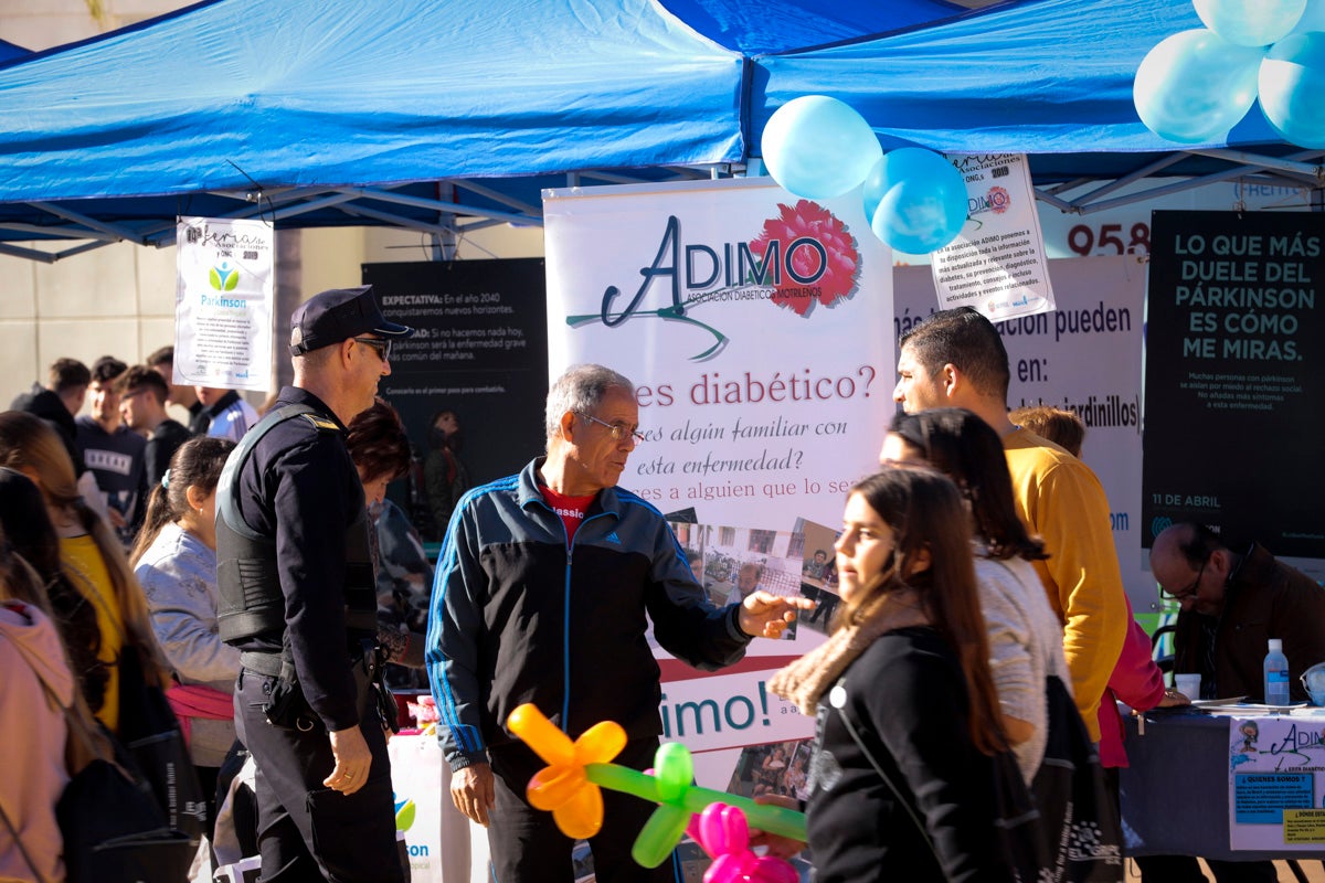 Esta nueva edición refuerza el carácter informativo al tiempo que destaca «la contribución fundamental a la sociedad» de las asociaciones locales
