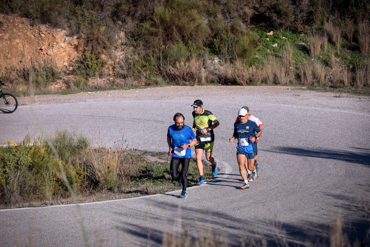 La XX Subida Pedestre al Conjuro arrancó a las 10 de la mañana, y los corredores tuvieron que enfrentarse a 17,8 kilometros en una mañana soleada