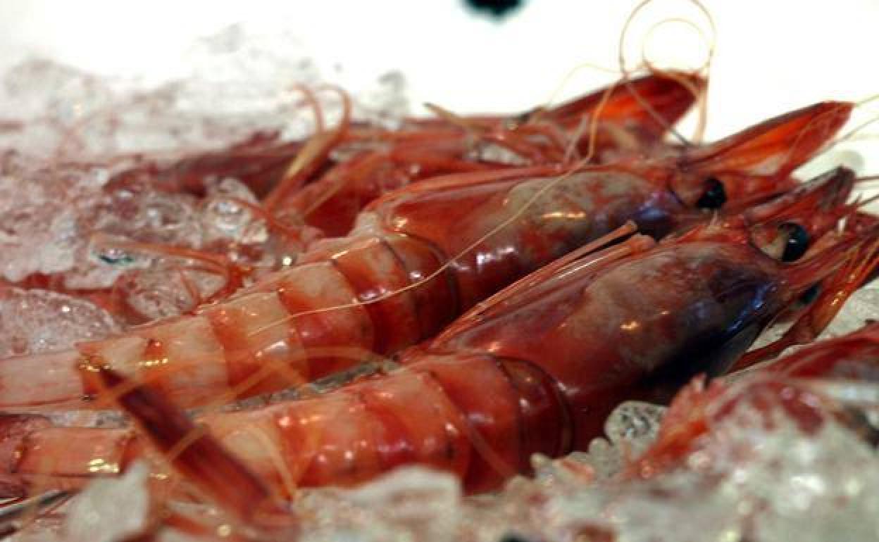 Alerta sanitaria | La Fundación Española de Nutrición desmiente que consumir cabezas de gambas sea peligroso