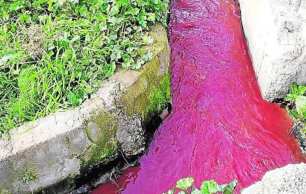La Junta investiga un presunto vertido de sangre animal en la Acequia Gorda