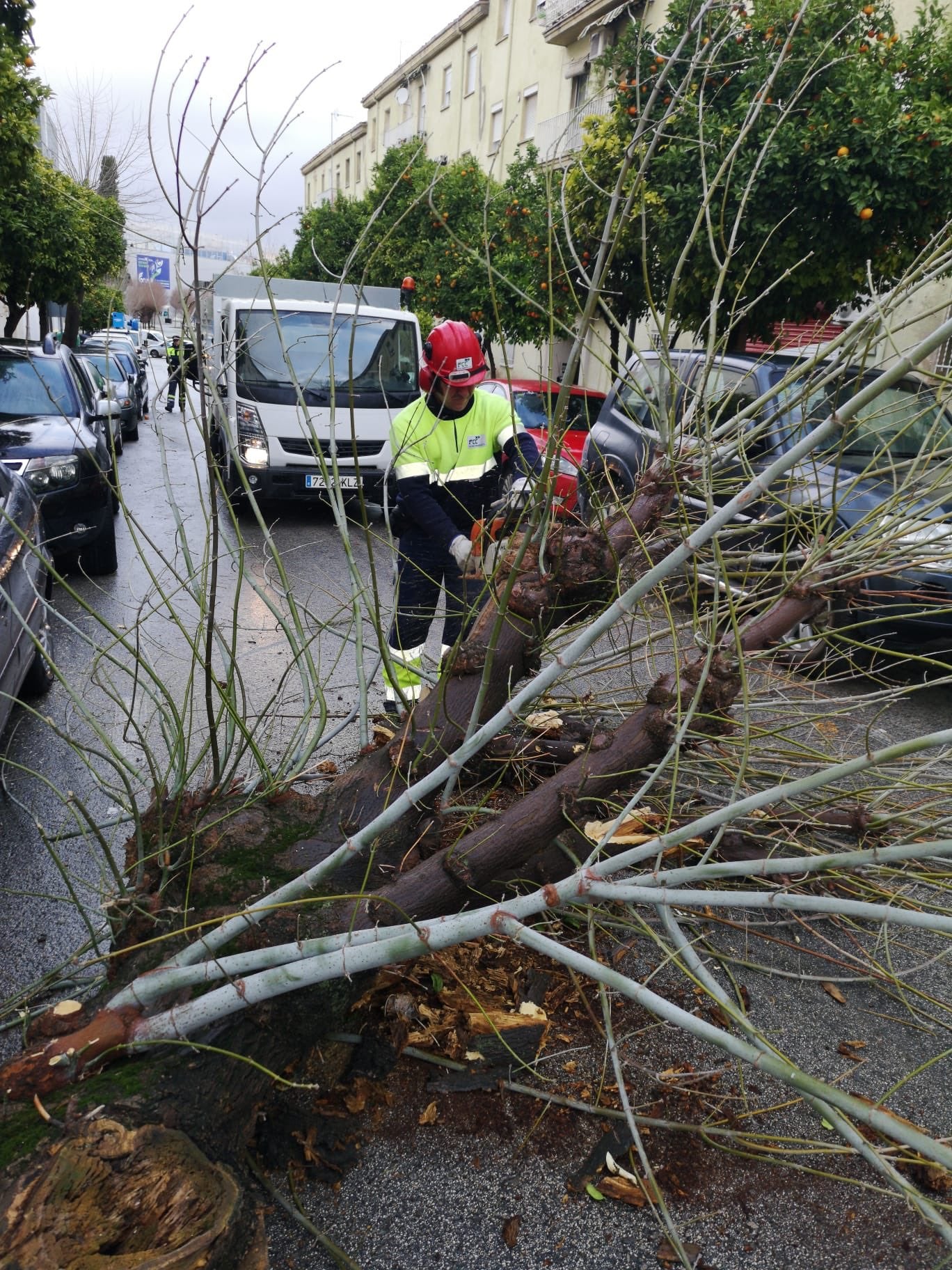 La lluvia y el viento han causado más de 80 incidencias en la provincia durante la noche, aún con alerta naranja, más de 200 desde que llegó Elsa