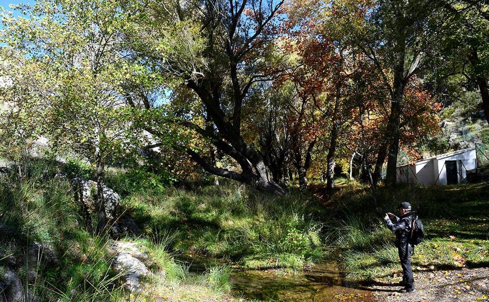 Paraje donde una serie de surgencias de agua dan origen al río Darro