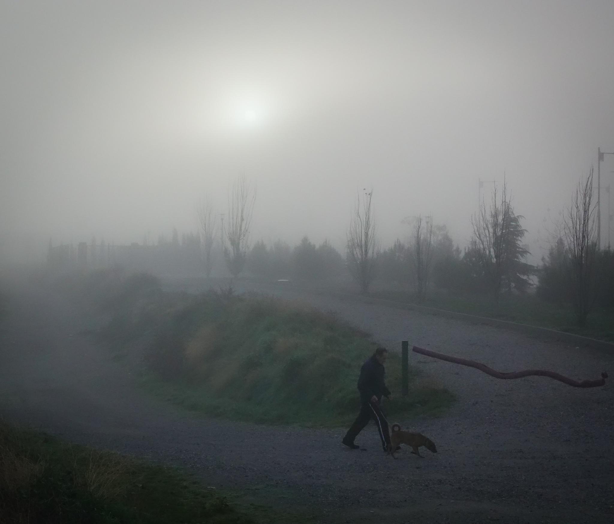 Las vacaciones escolares han permitido que no haya tráfico denso en la Circunvalación a pesar de la densa niebla que hay este lunes, 23 de diciembre de 2019, en la capital y el área metropolitana 
