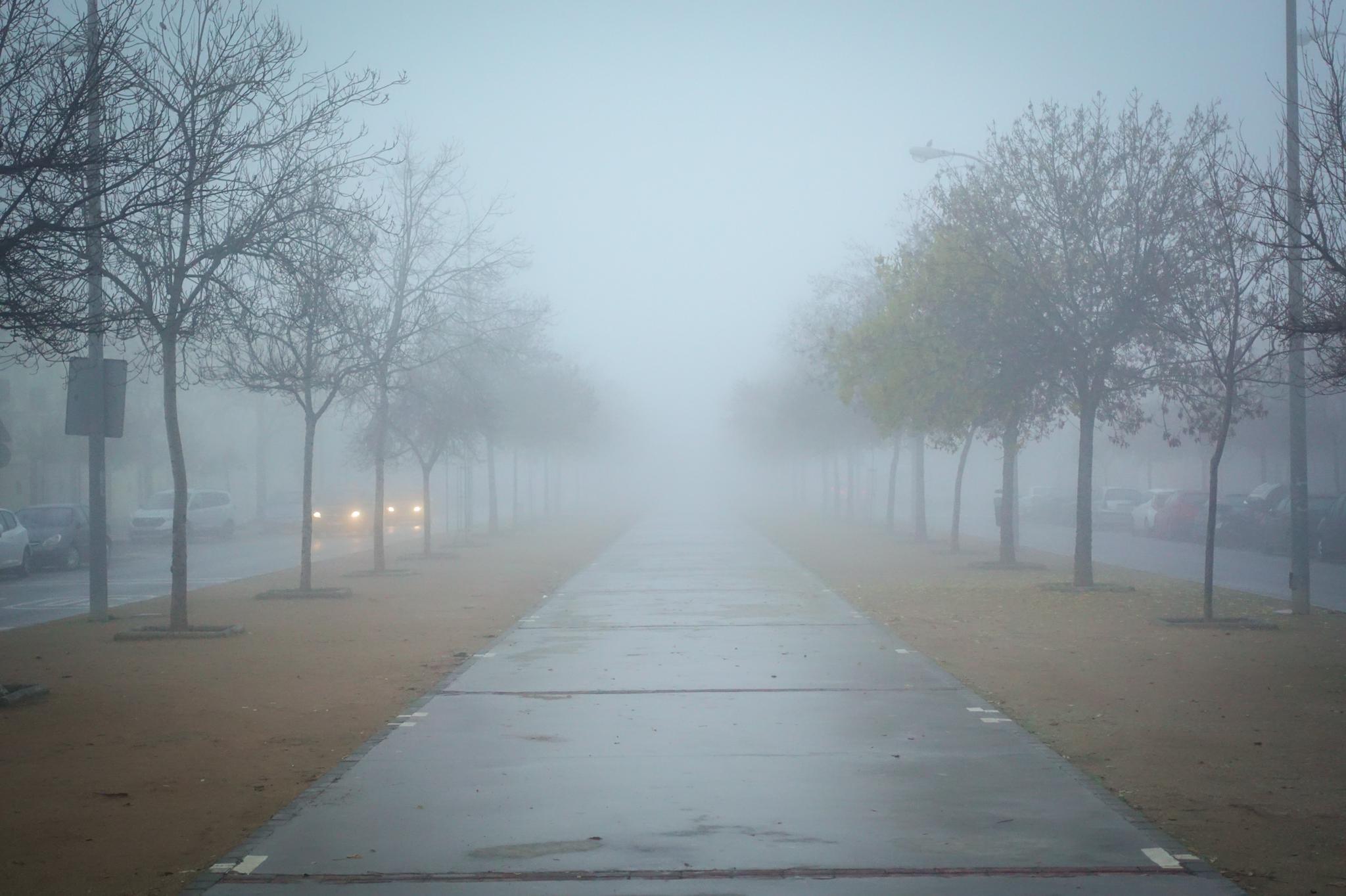 Las vacaciones escolares han permitido que no haya tráfico denso en la Circunvalación a pesar de la densa niebla que hay este lunes, 23 de diciembre de 2019, en la capital y el área metropolitana 