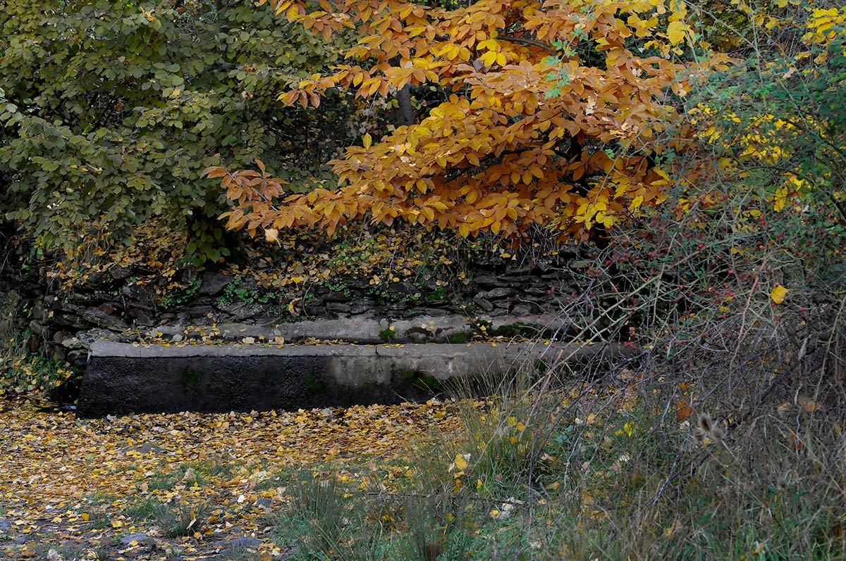 Abrevadero de la fuente del Chortal 