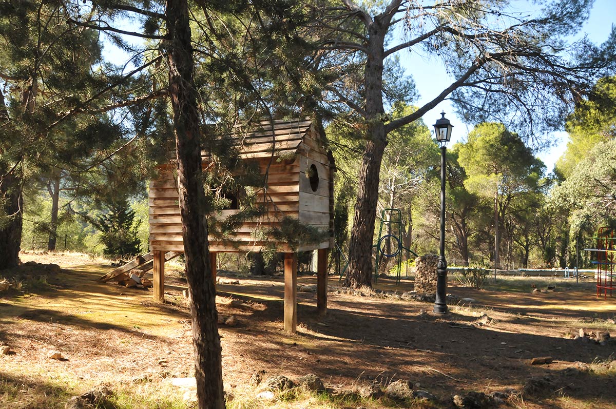 Área recreativa en los pinares del Sotillo