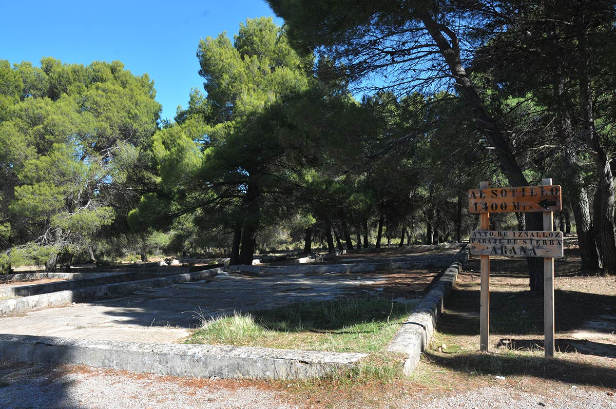 Área recreativa en los pinares del Sotillo