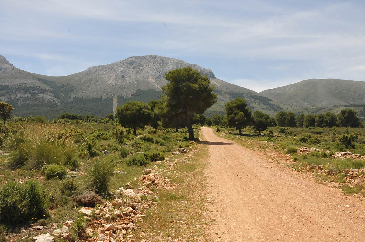 Área recreativa en los pinares del Sotillo