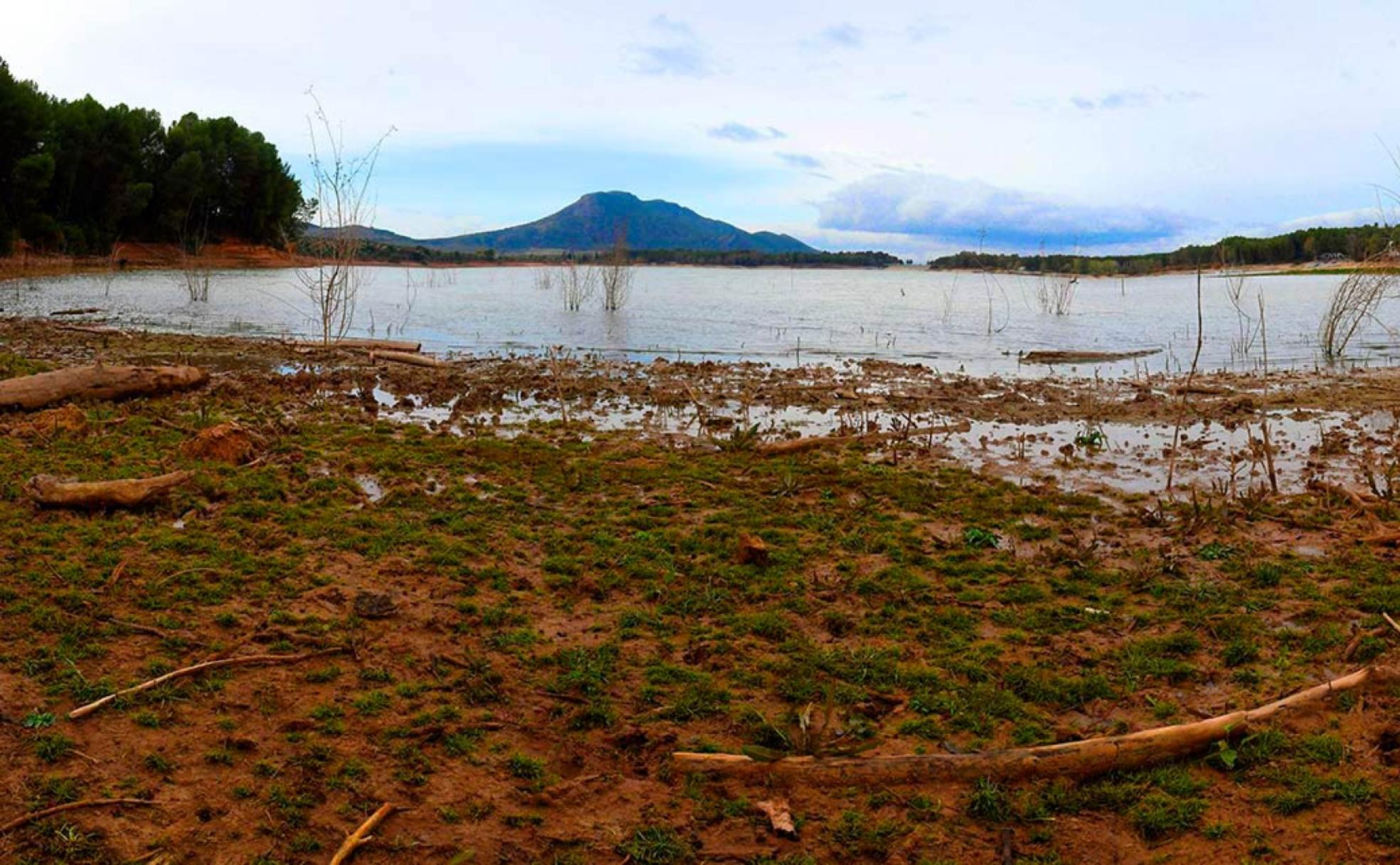 Cola del embalse de Cubillas, los lodos atraen a especies limícolas que se alimentan en el fango 