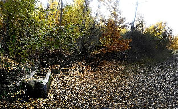 Imagen principal - La fuente del Chortal, el agua de los castaños de Jérez